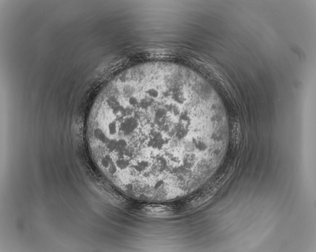 X0000110980557200907171734
