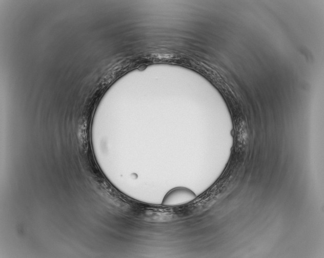 X0000110980559200907171734