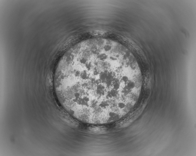 X0000110980561200907171734