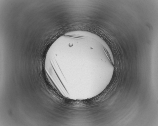 X0000110980562200907171734