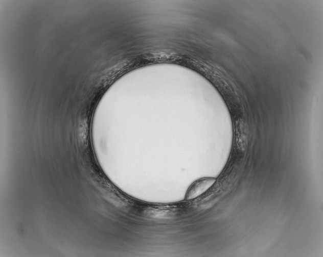 X0000110980563200907171734