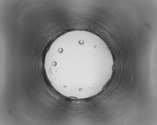 X0000110980564200907171734