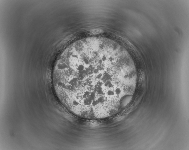 X0000110980565200907171734