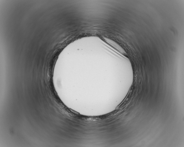 X0000110980566200907171734