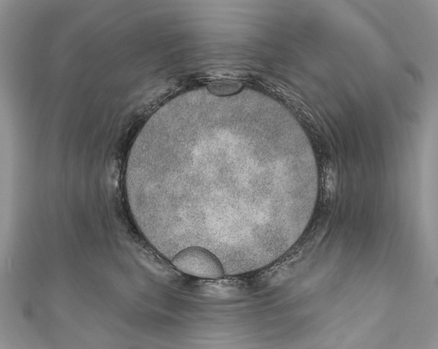 X0000110980567200907171734