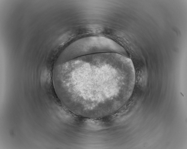 X0000110980568200907171734