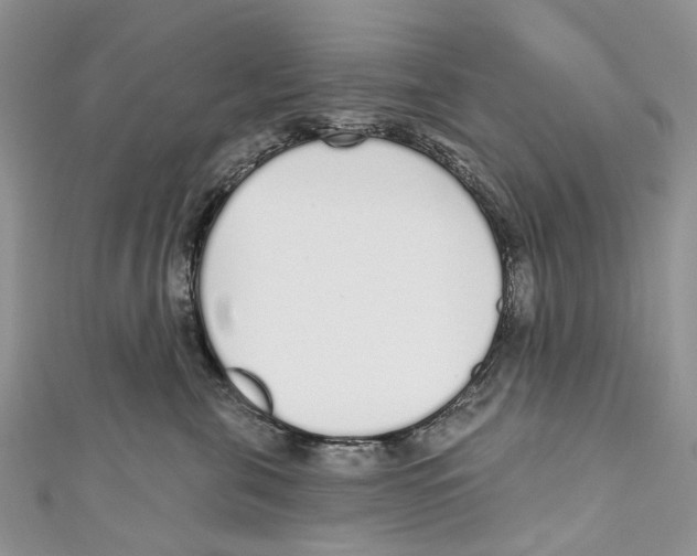 X0000110980571200907171734