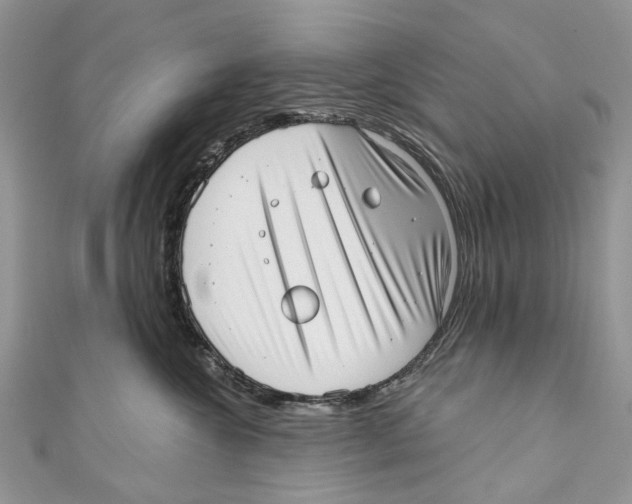 X0000110980572200907171734