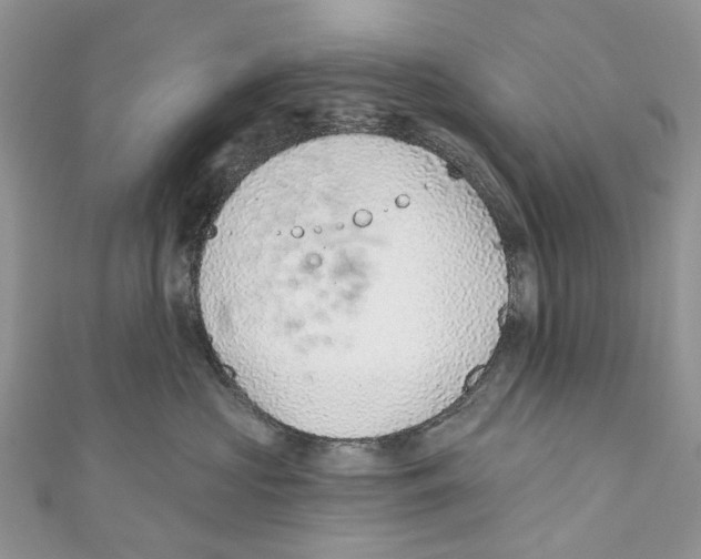 X0000110980573200907171734