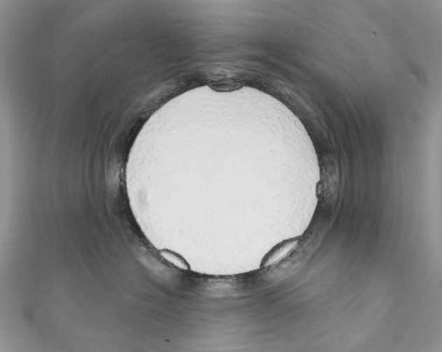 X0000110980574200907171734