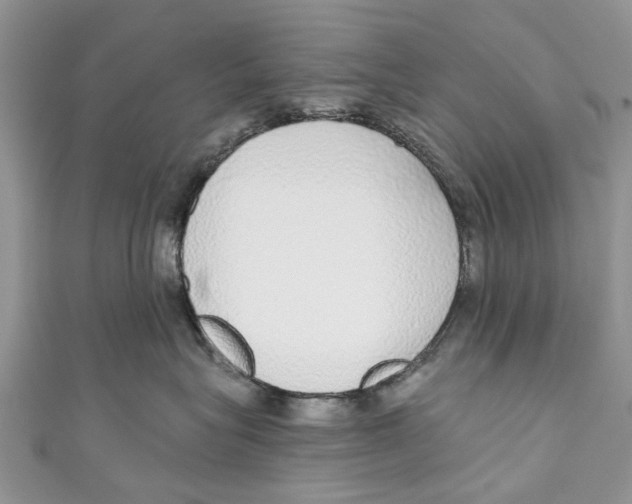 X0000110980575200907171734