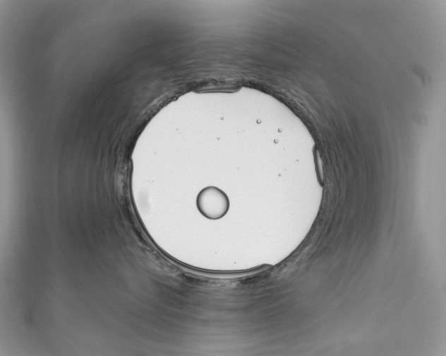 X0000110980576200907171734