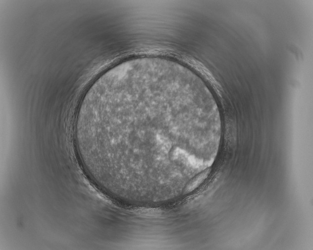 X0000110980577200907171733