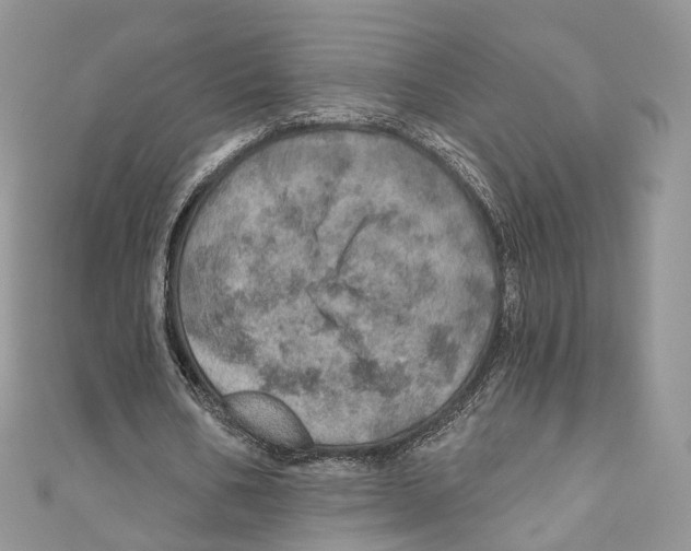 X0000110980578200907171733