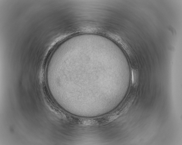 X0000110980579200907171733