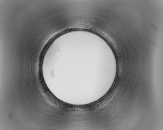 X0000110980580200907171733