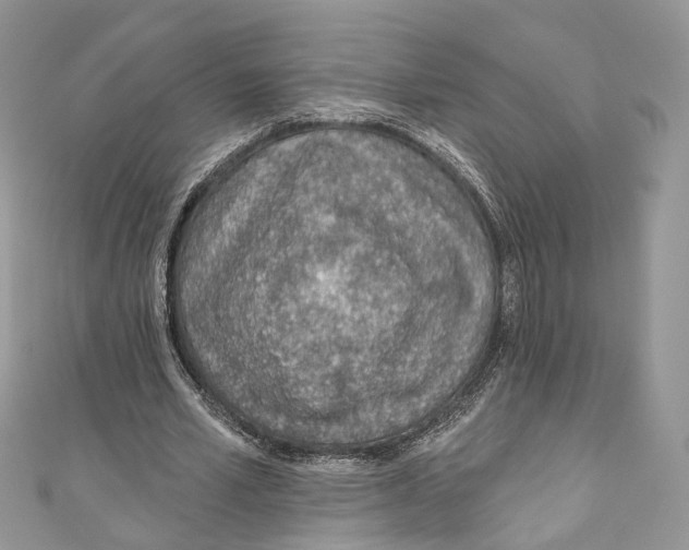 X0000110980581200907171733