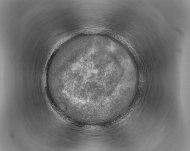 X0000110980582200907171733