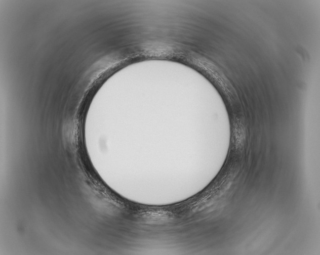 X0000110980583200907171733