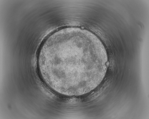 X0000110980584200907171733