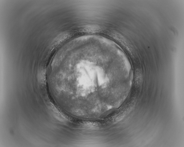 X0000110980585200907171733