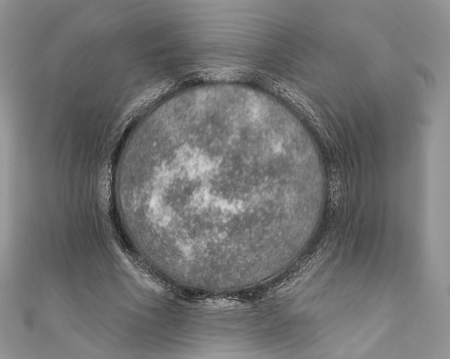X0000110980586200907171733