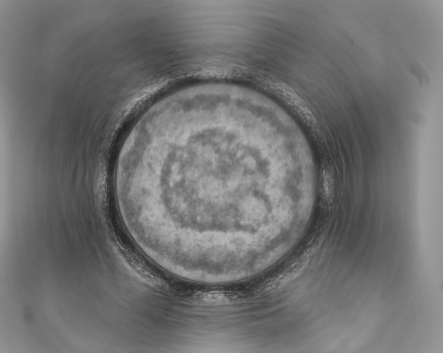 X0000110980588200907171733