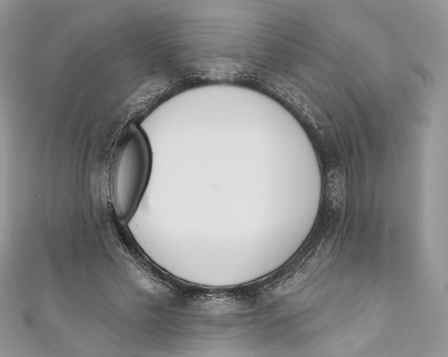 X0000110980589200907171733