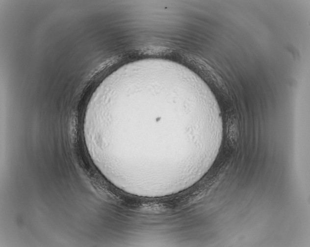X0000110980591200907171733