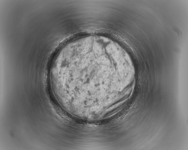 X0000110980592200907171733
