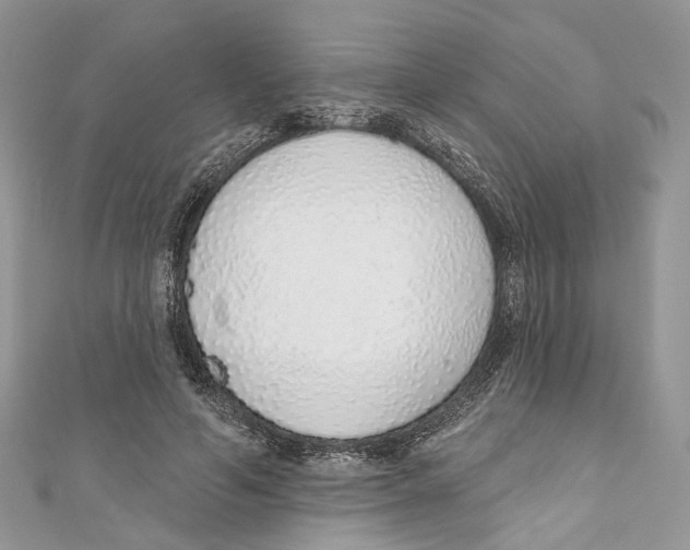 X0000110980594200907171733