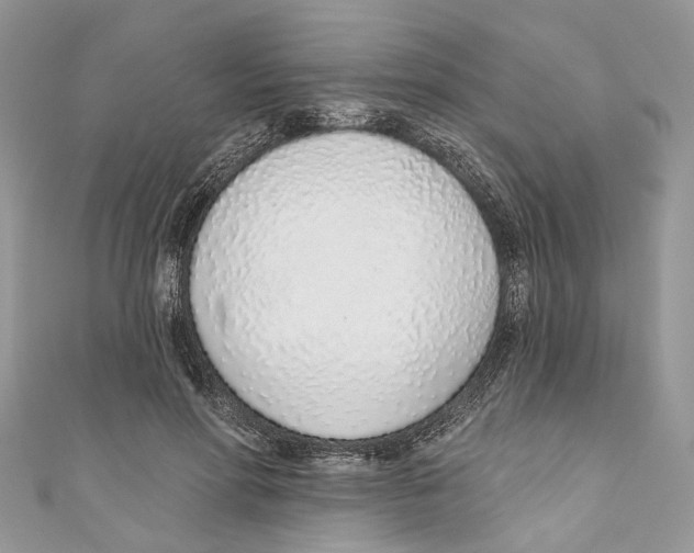 X0000110980598200907171733