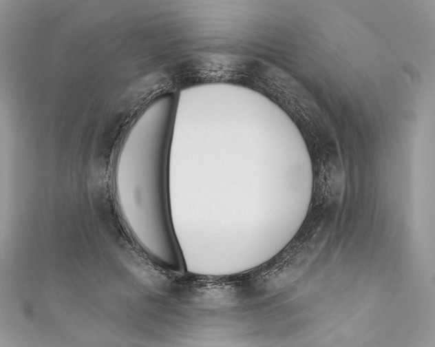 X0000110980601200907171733