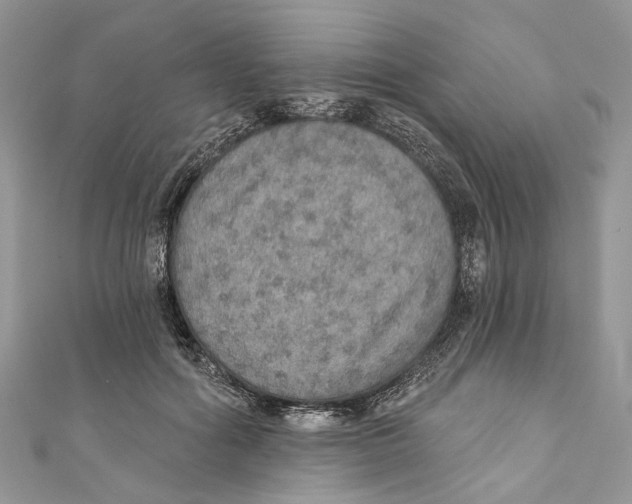 X0000110980602200907171733