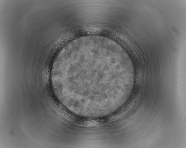 X0000110980604200907171733