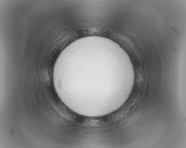 X0000110980607200907171733