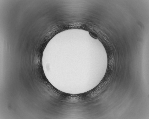 X0000110980608200907171733