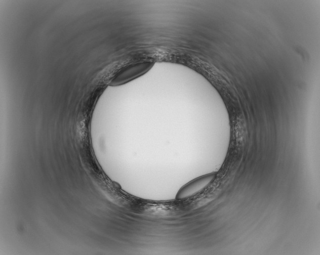X0000110980611200907171733