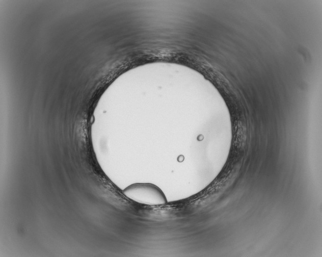 X0000110980612200907171733