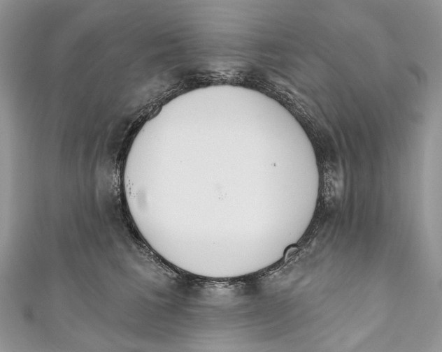 X0000110980613200907171733