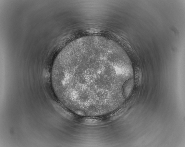 X0000110980614200907171733