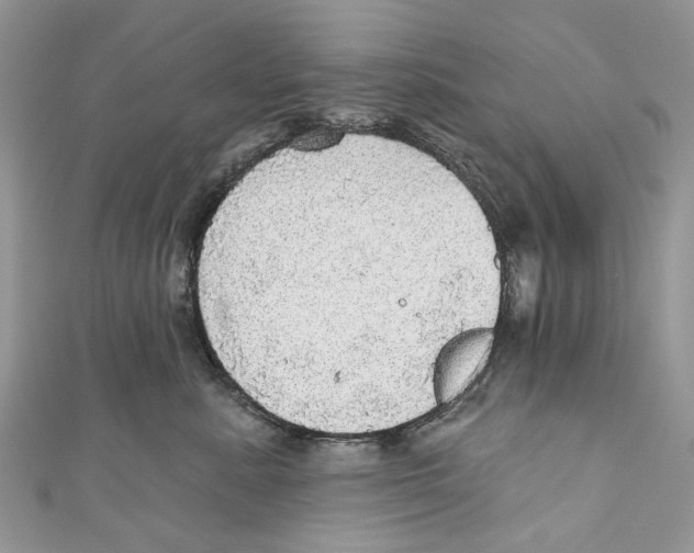 X0000110980619200907171733
