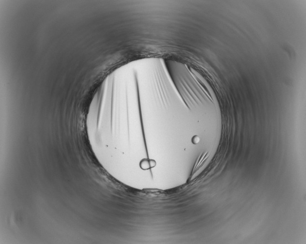 X0000110980621200907171733