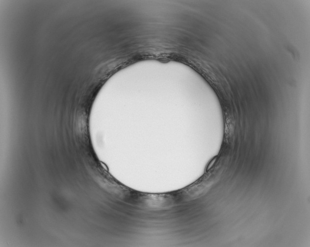 X0000110980623200907171733