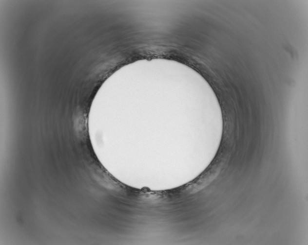 X0000110980624200907171733