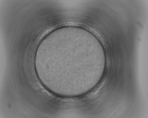 X0000110980625200907171732
