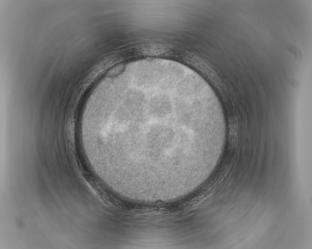 X0000110980626200907171732