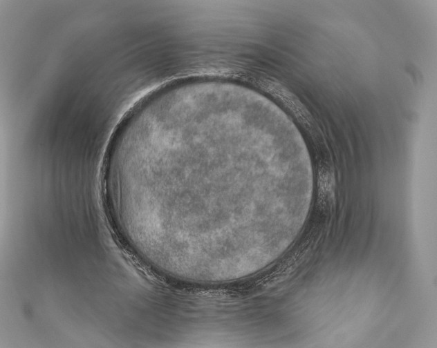X0000110980628200907171732