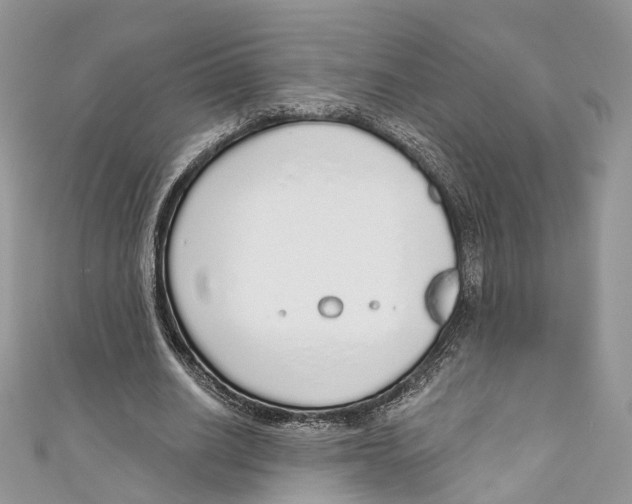 X0000110980630200907171732
