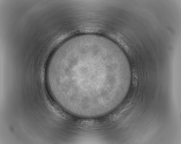 X0000110980631200907171732
